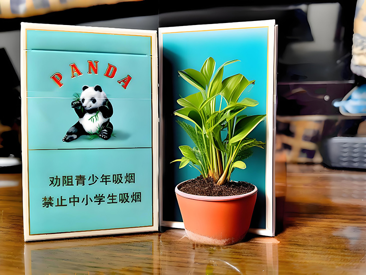 Chinese blue cat  （中支青猫）